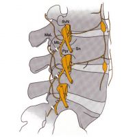 9 Illustration LWS 9 Illustration LWS