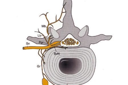 8 illustration lws 8 illustration lws